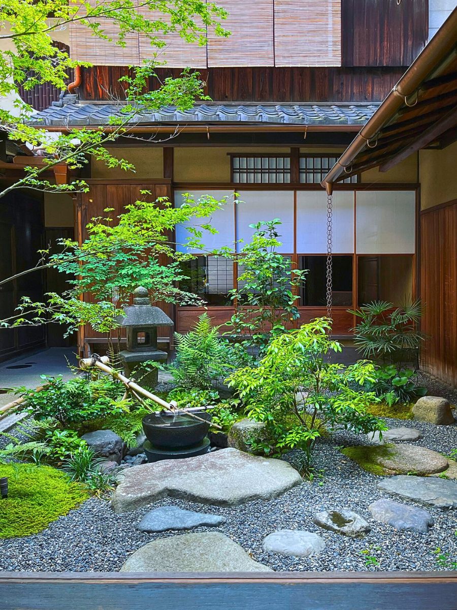 Plants Grown In A Small Tsubo Niwa Garden